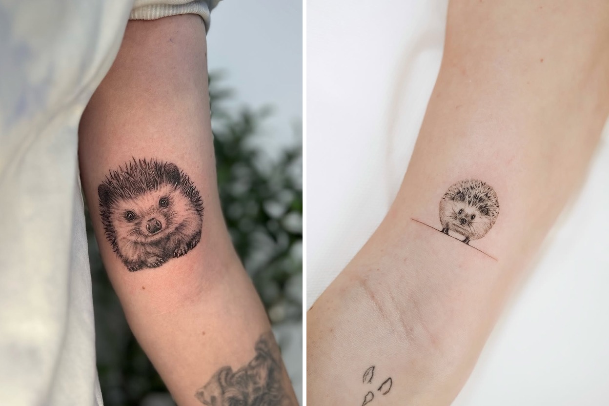 Hedgehog Tattoos Featured Lookbook Collage