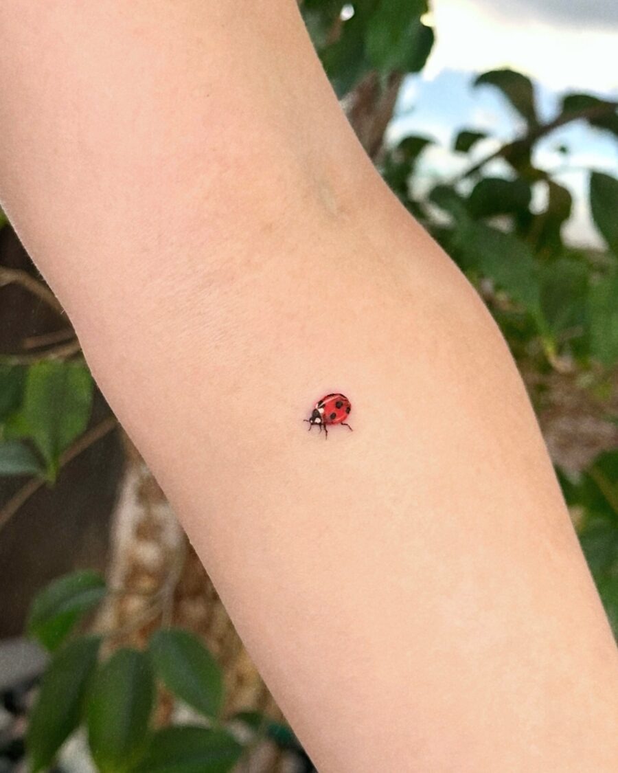 Charming Ladybug Tattoo in a Subtle Spot Tattoo Design