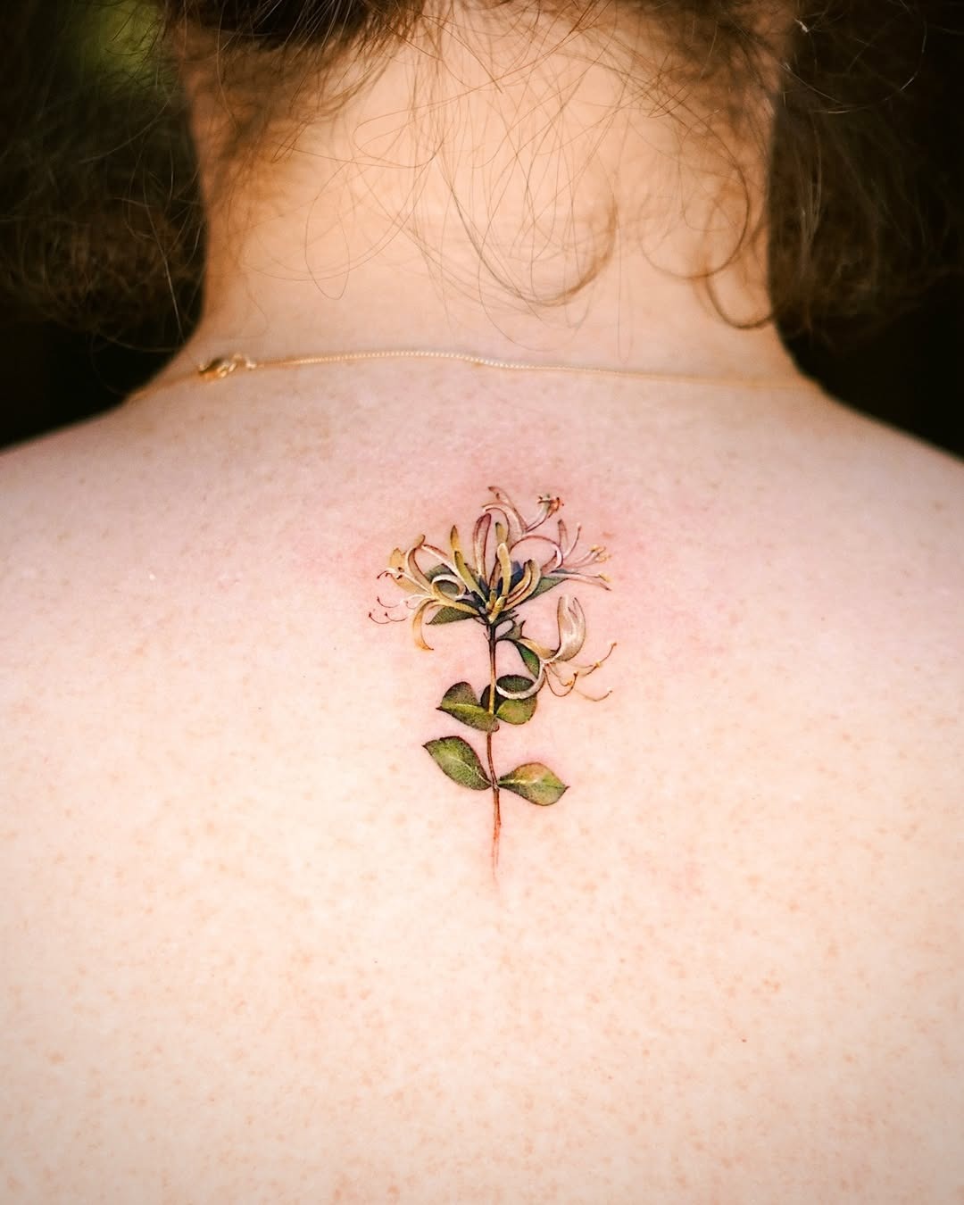 This honeysuckle tattoo features a beautifully detailed design on the upper back.