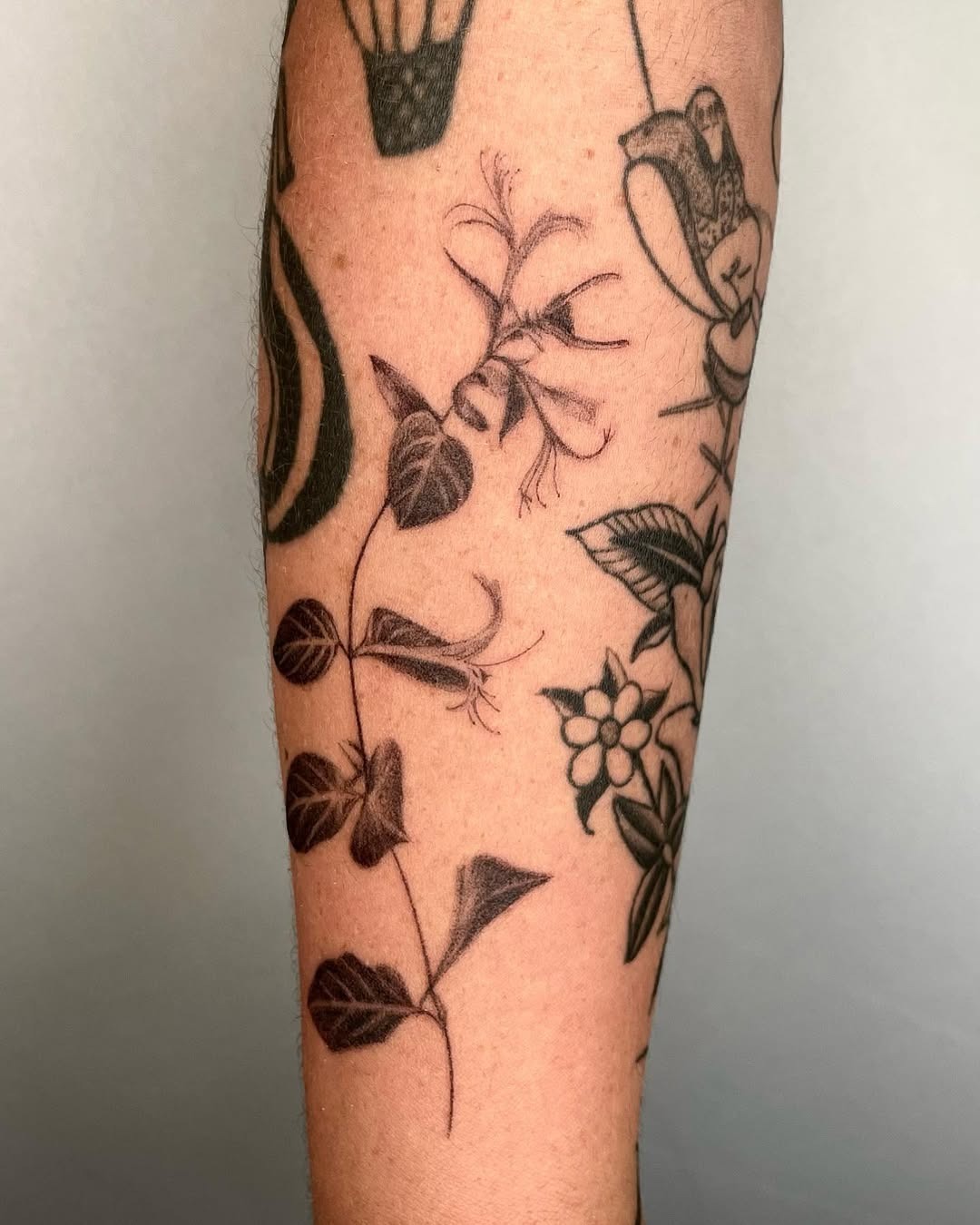 This honeysuckle tattoo features intricate black line work, highlighting the natural beauty of the flower.