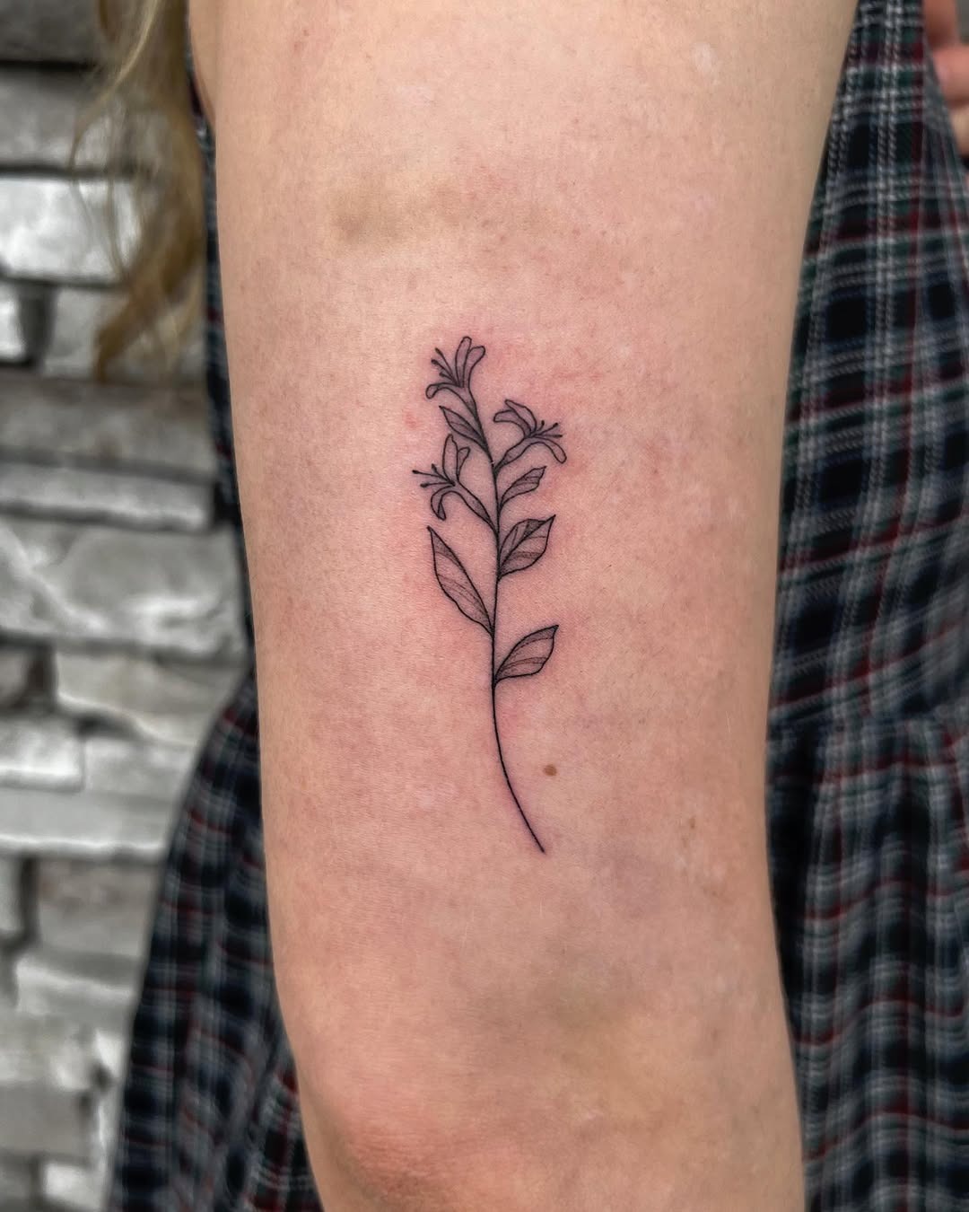 This tattoo features a thin, elegant honeysuckle branch with subtle details.