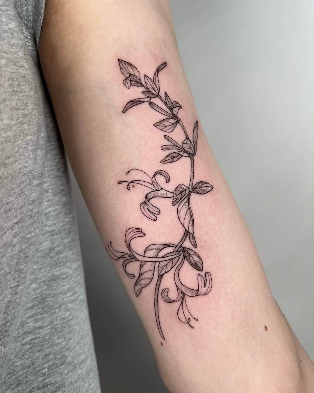 This honeysuckle tattoo showcases intricate linework and delicate blooms, wrapping gracefully around the arm.