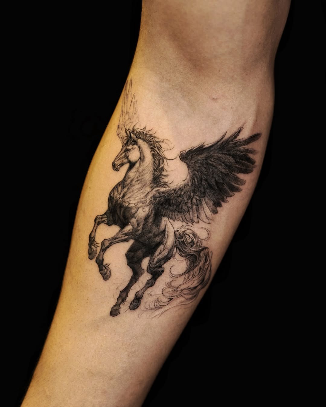 Elegant winged horse tattoo in fine detail Tattoo Design