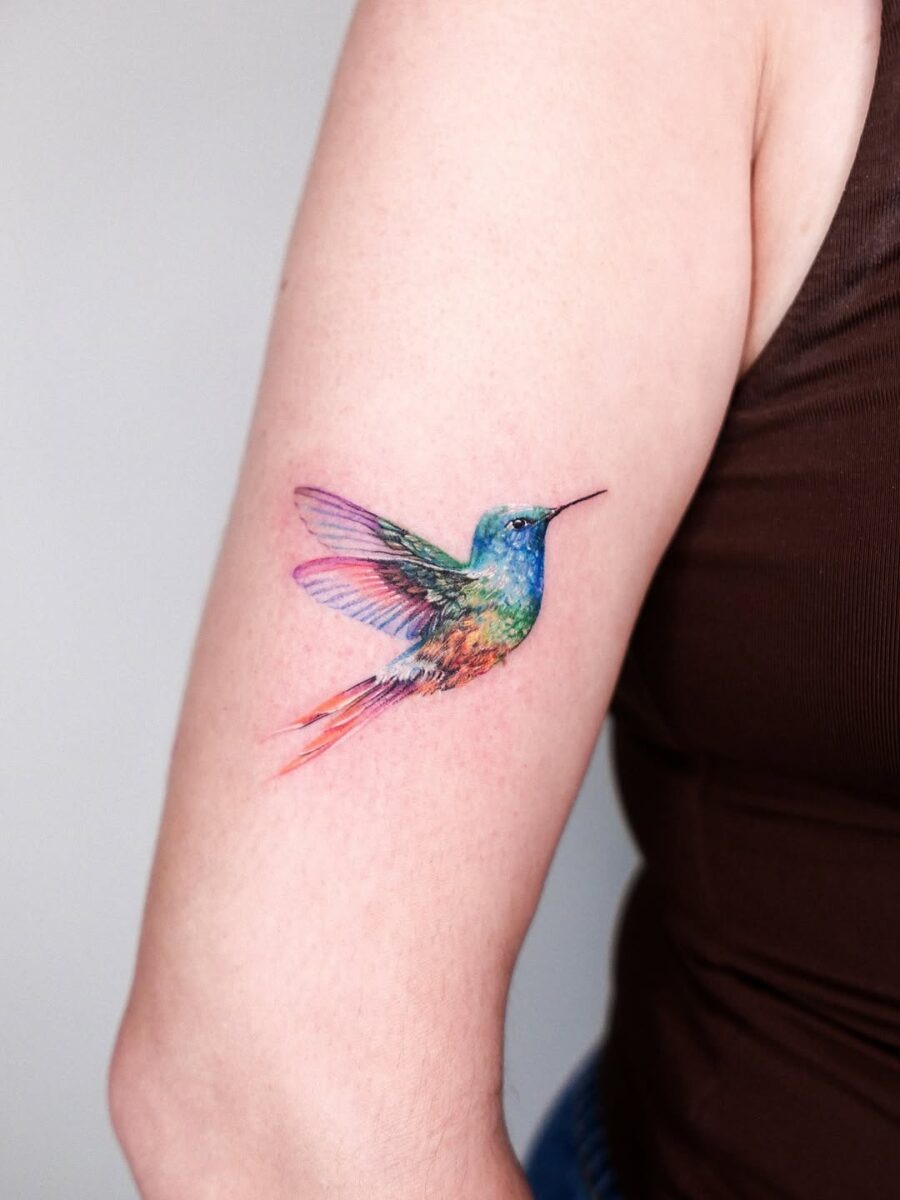 Colorful hummingbird tattoo design on arm Tattoo Design