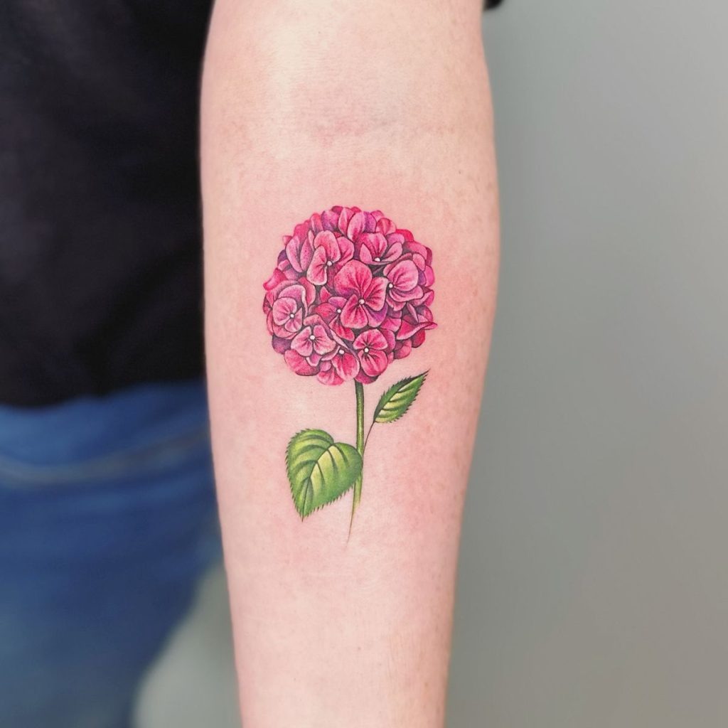 Deep Pink Hydrangea Shoulder Stem Tattoo Design