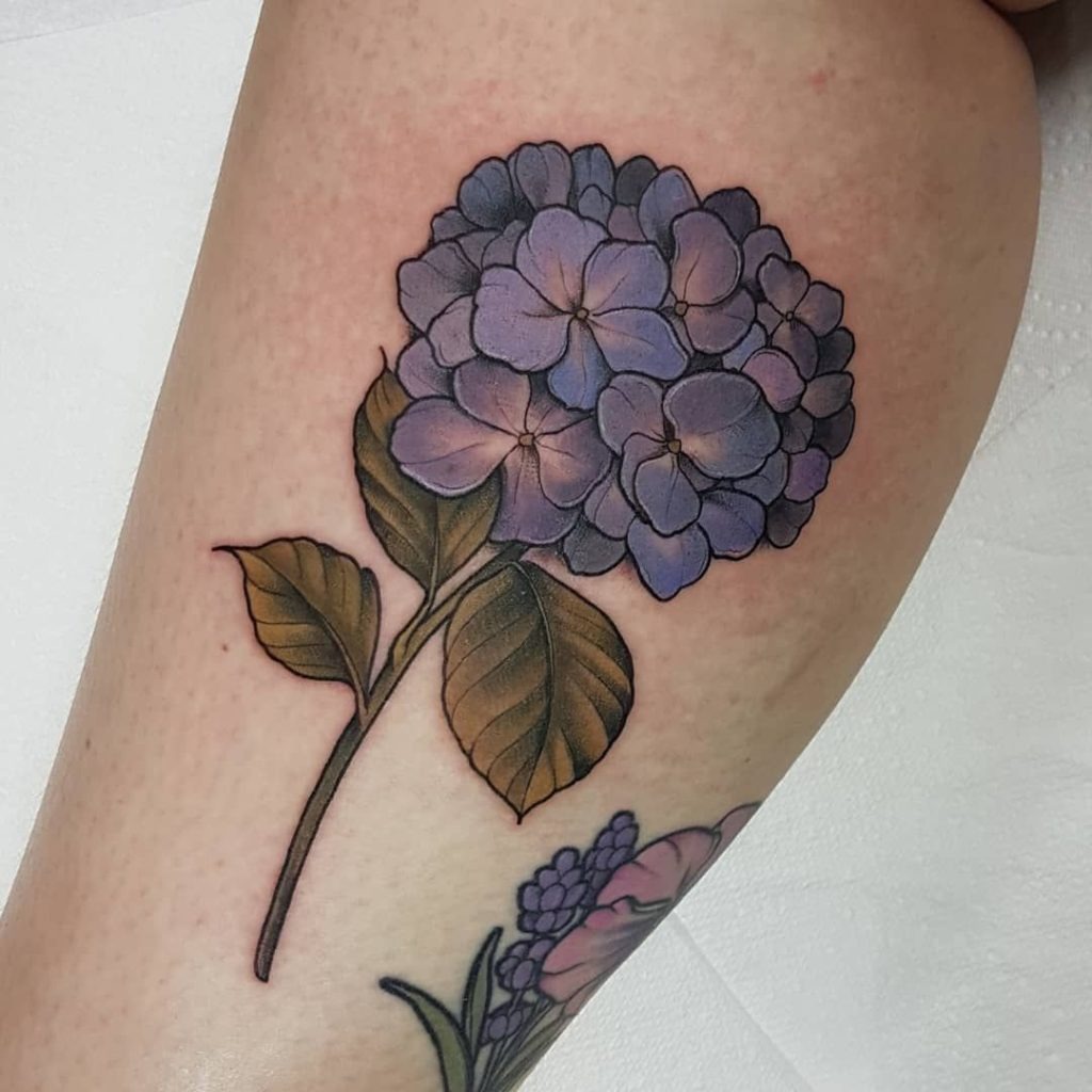 Lush Multi-Bloom Hydrangea Shoulder Piece Tattoo Design