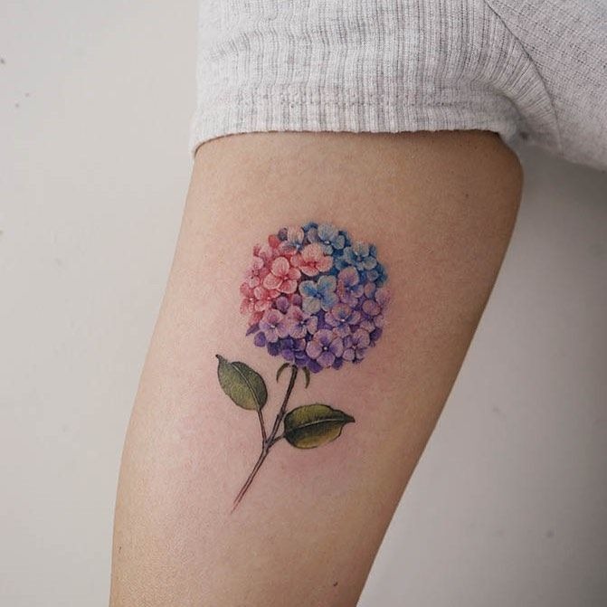 Pastel Ombre Hydrangea Sprig Tattoo Design