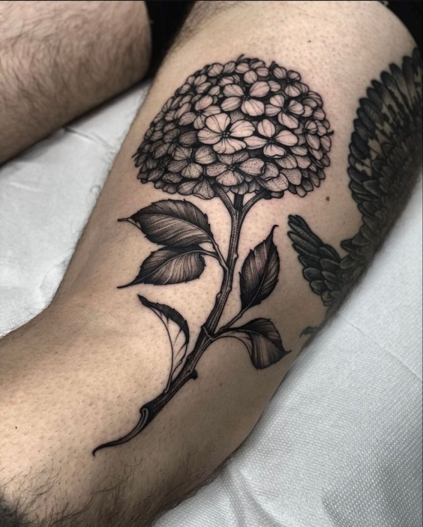 Soft Purple Hydrangea With Earthy Leaves Tattoo Design