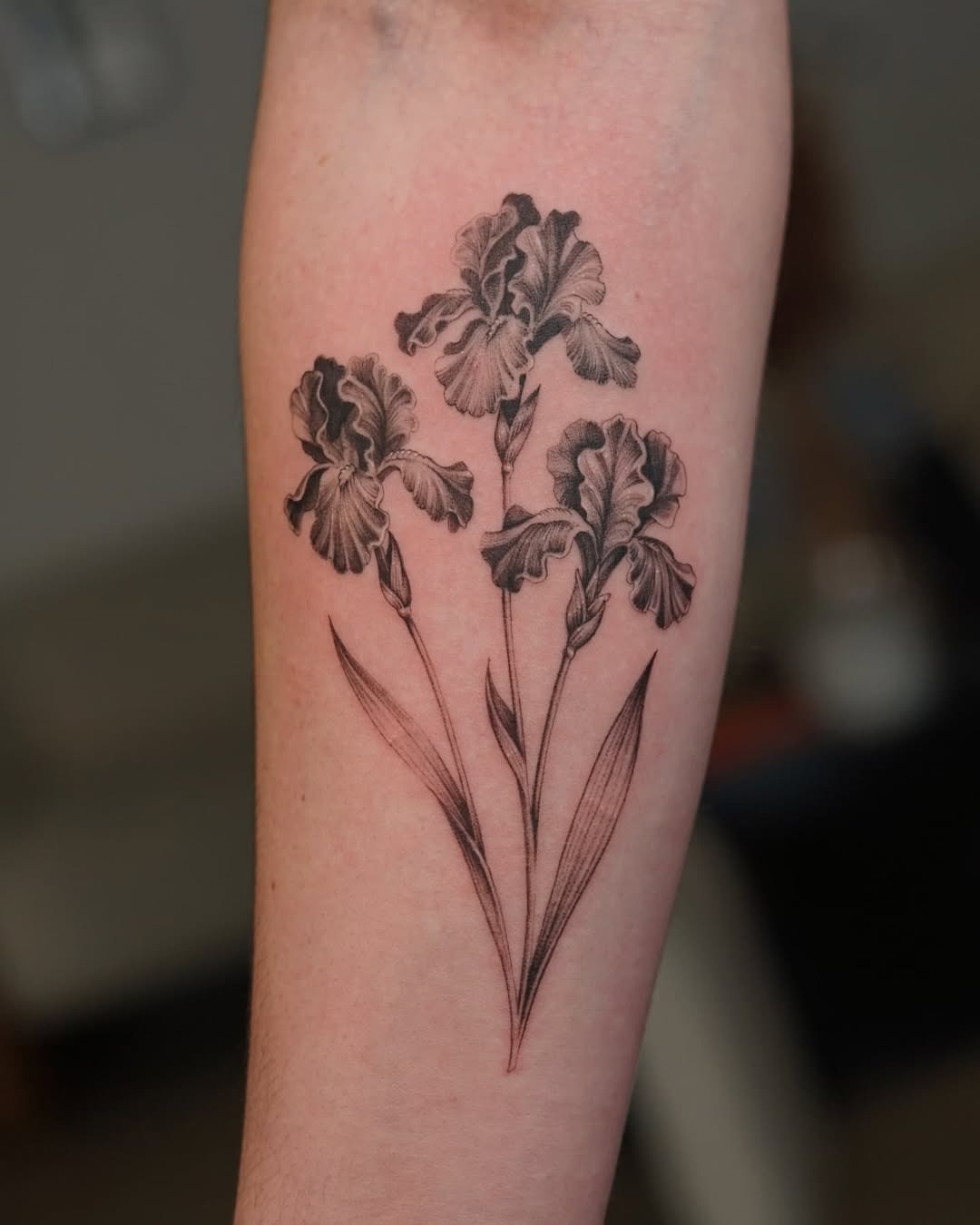 This tattoo showcases stunning black ink irises, elegantly arranged on the forearm.