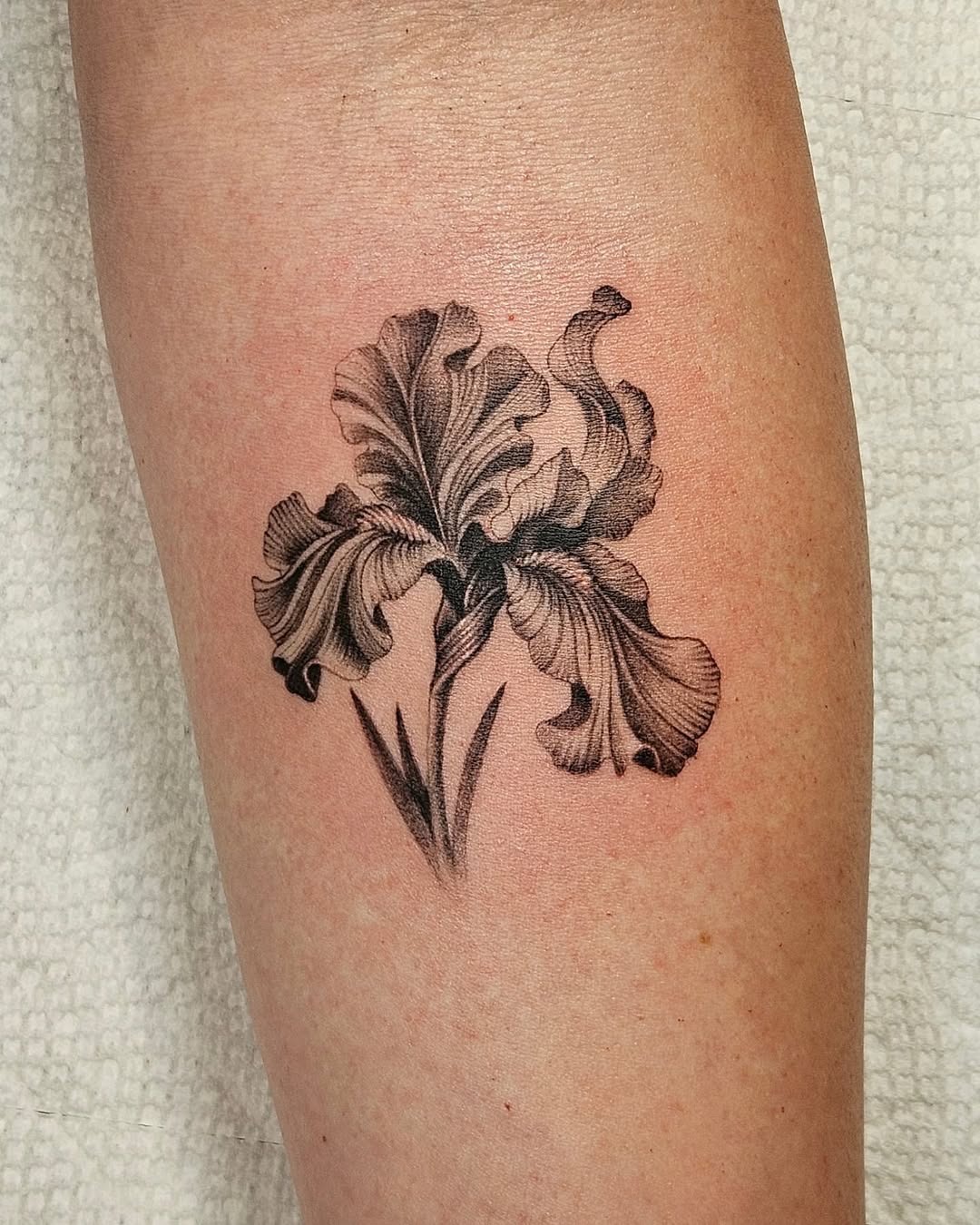 This iris tattoo features exquisite detailing and shading, showing the intricate petals and stems of the flower.