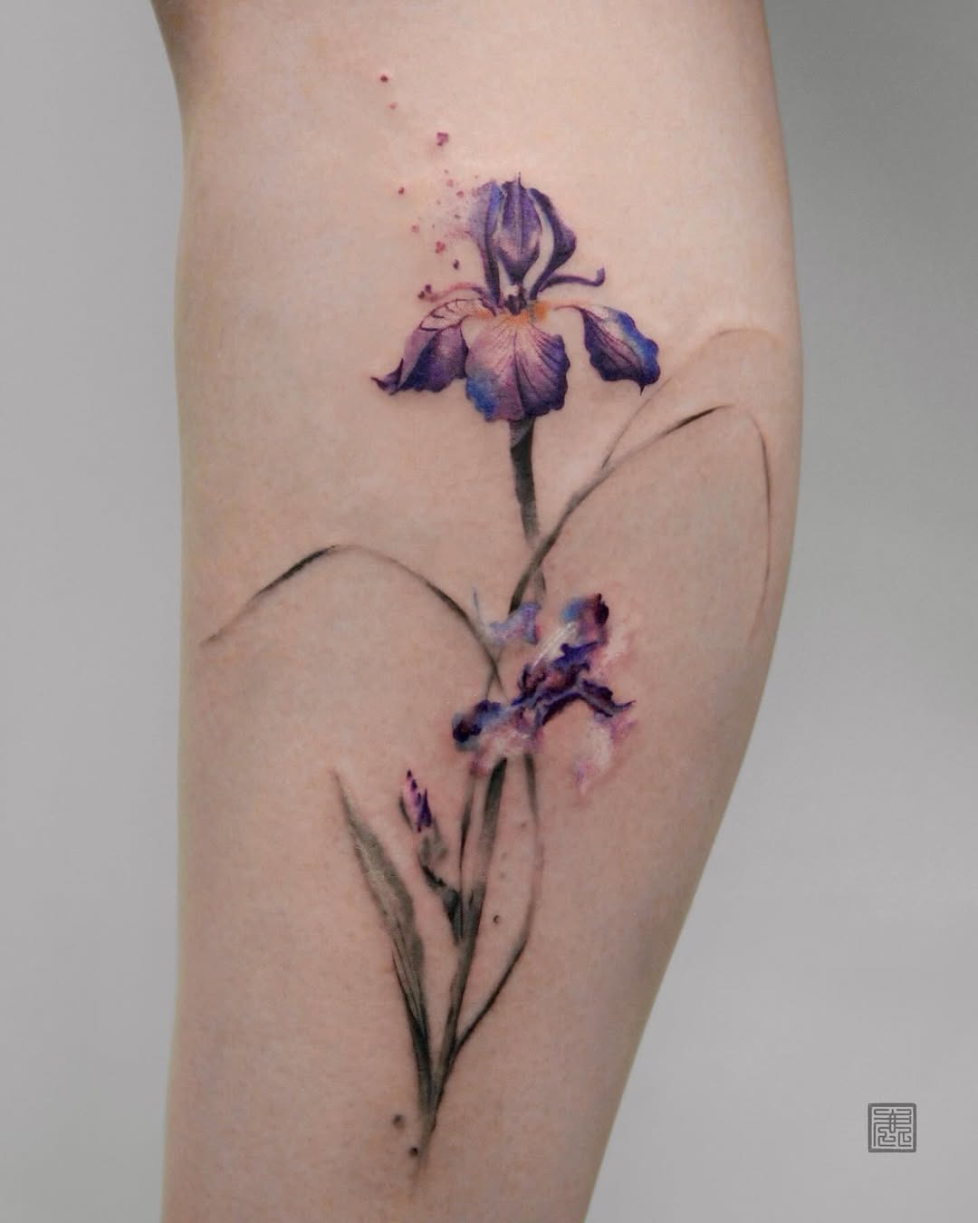 This beautiful iris tattoo showcases a blend of rich purple and delicate pink hues, radiating elegance and grace.