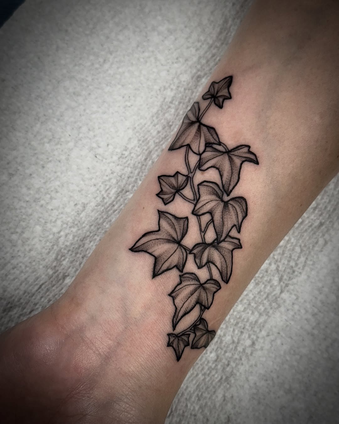Elegant ivy tattoo showcasing intricate linework details Tattoo Design