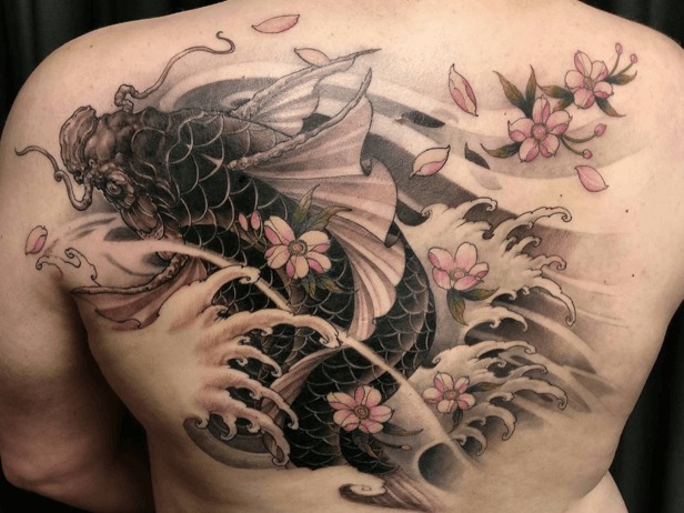 Black Koi with Cherry Blossoms Koi Fish Tattoo Designs Tattoo Design