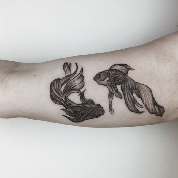 Two Veiltail Goldfish on an Arm Tattoo Design