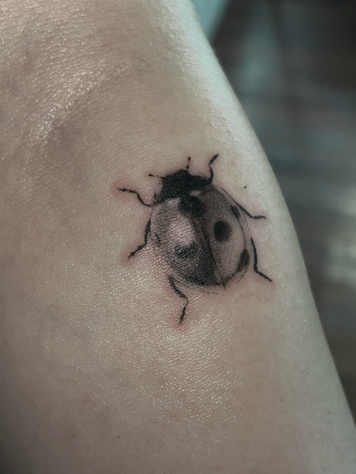 Black and Grey Ladybug Tattoo Tattoo Design