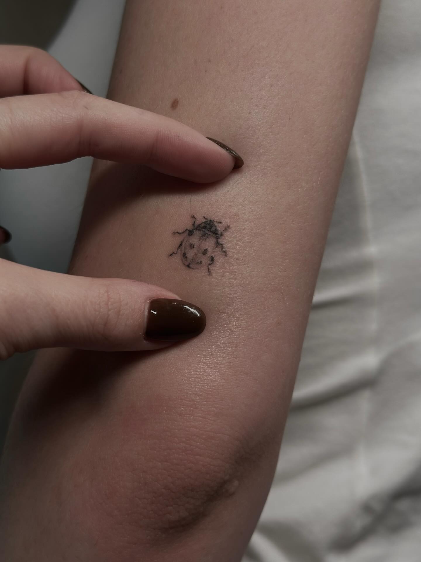 Delicate Ladybug Tattoo Between Fingers Tattoo Design