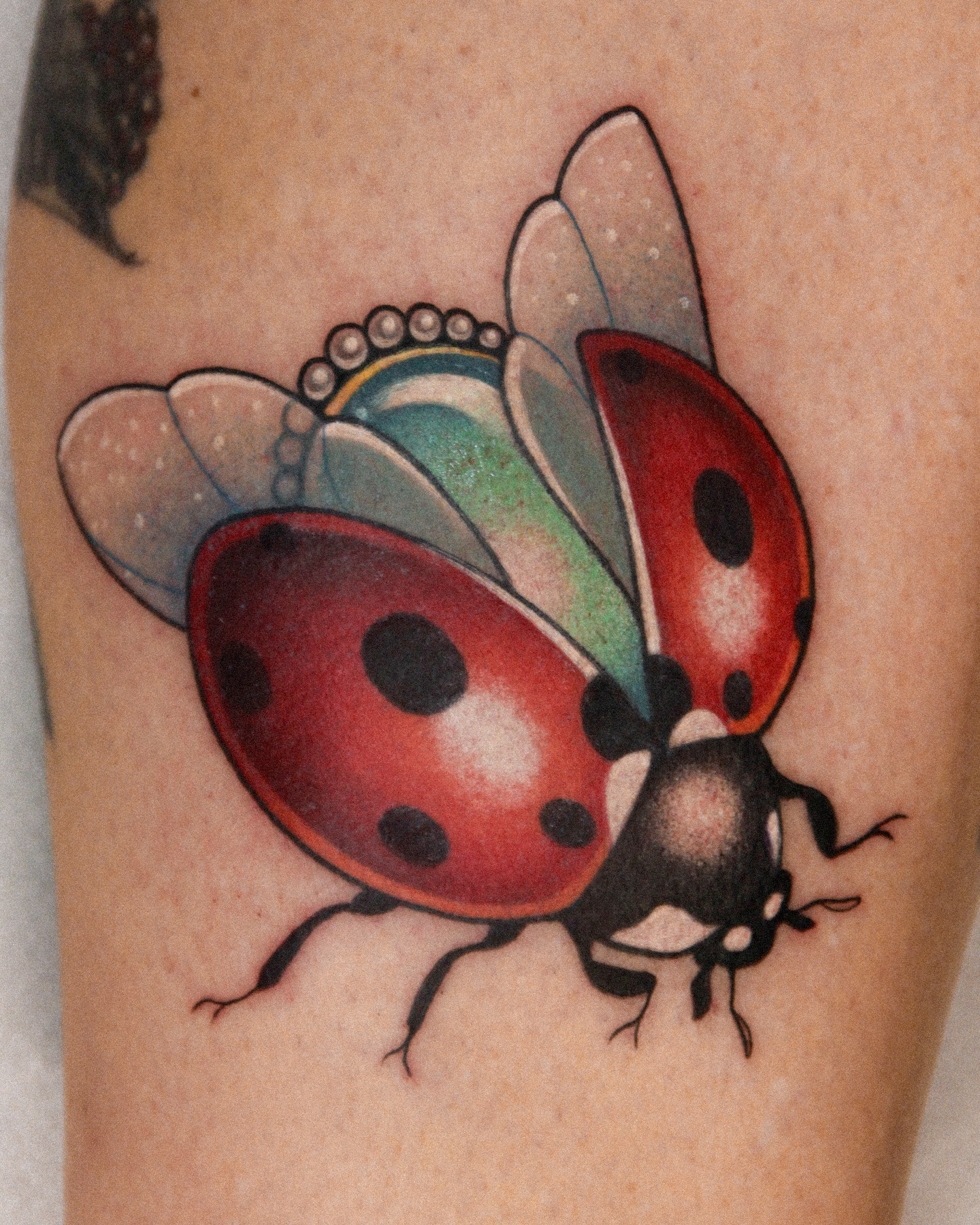 Ladybug With Hidden Gem Tattoo Tattoo Design