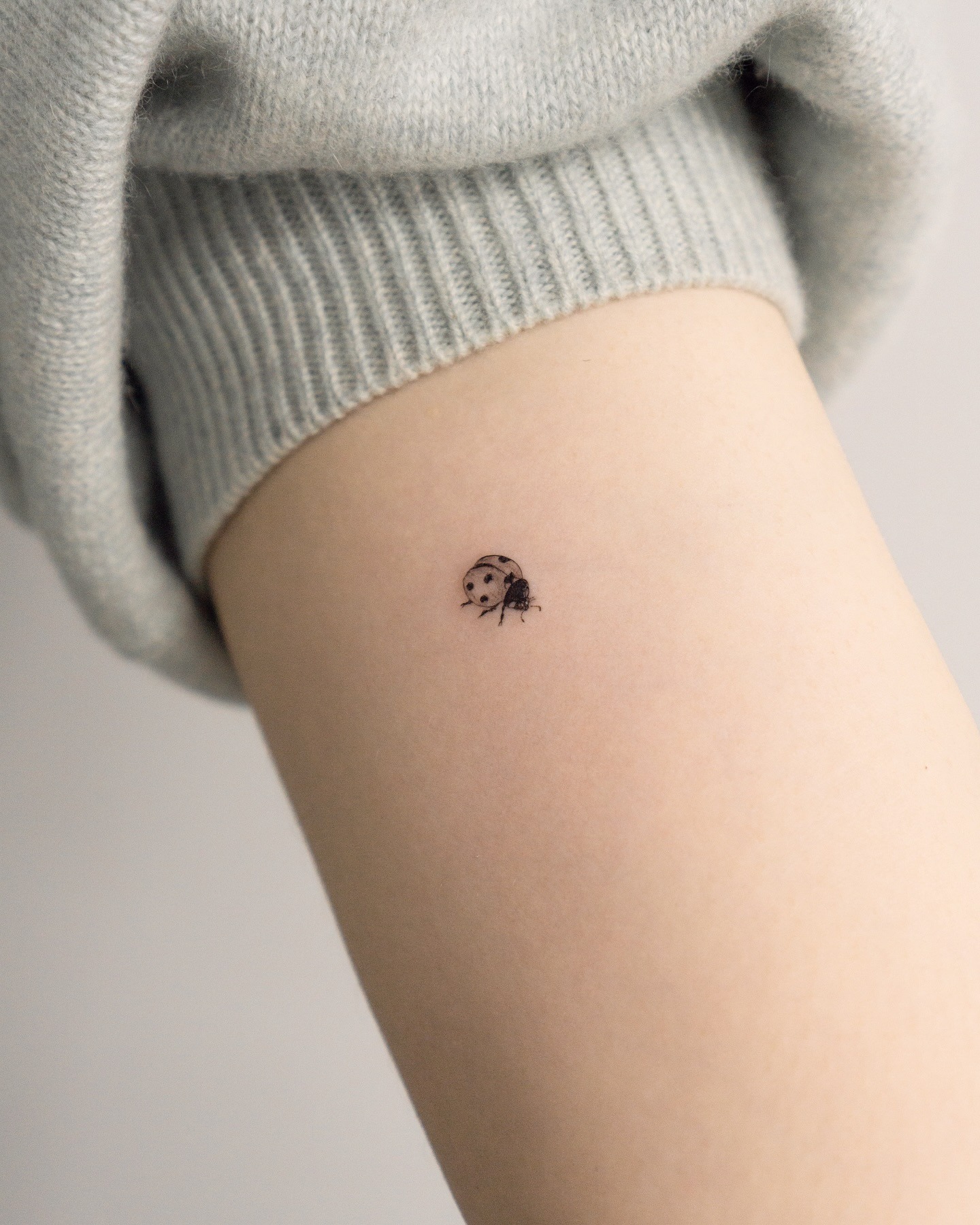 Minimalist Ladybug Tattoo on the Arm Tattoo Design