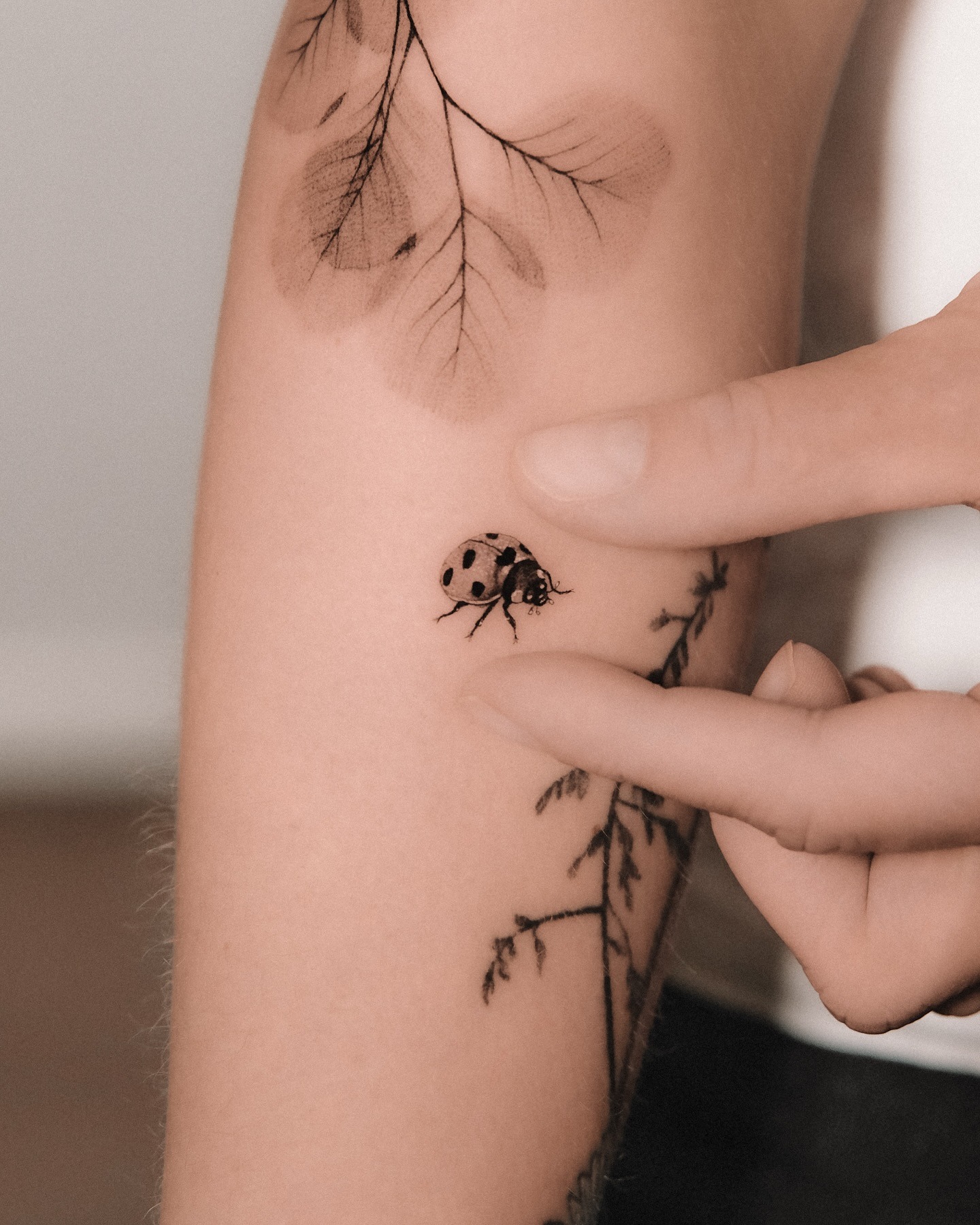 Realistic Ladybug and Botanical Tattoo Tattoo Design