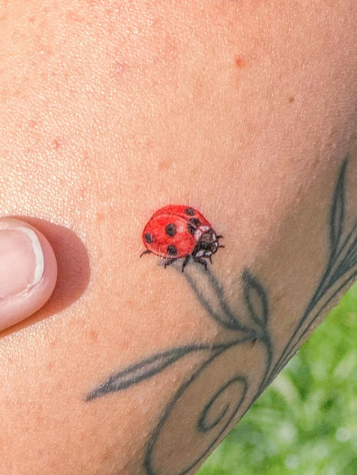 Realistic Ladybug on Botanical Stem Tattoo Tattoo Design