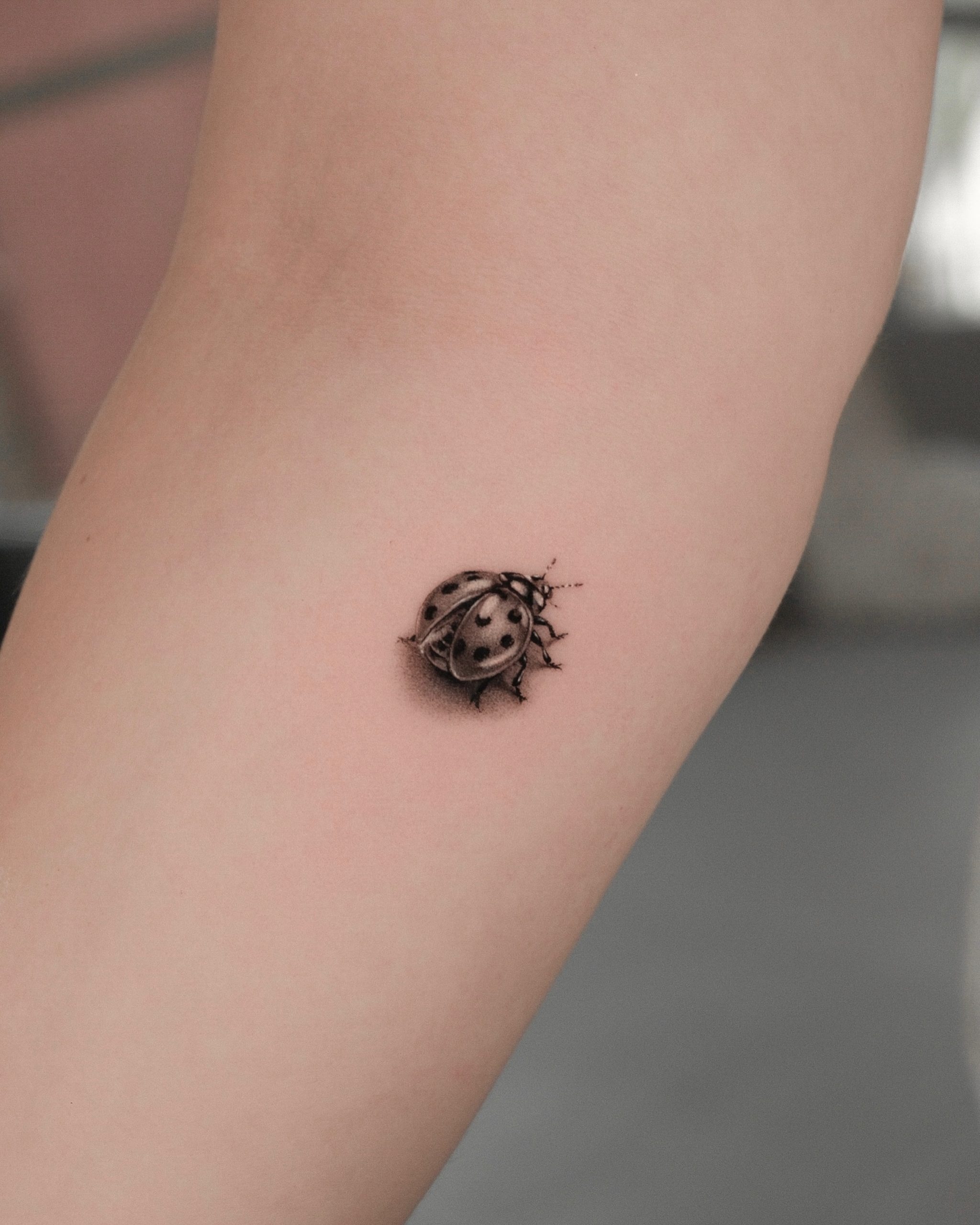 Realistic Ladybug With Open Wings Tattoo Tattoo Design