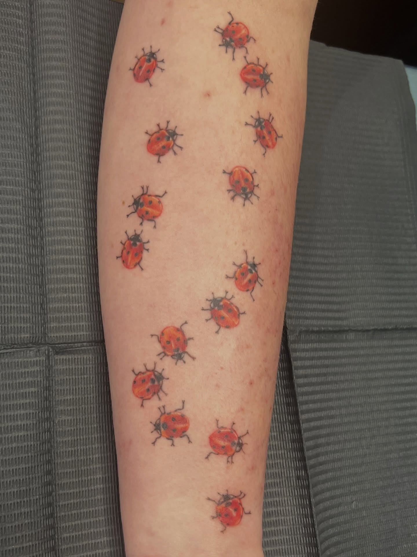 Swarm of Ladybugs Tattoo Tattoo Design