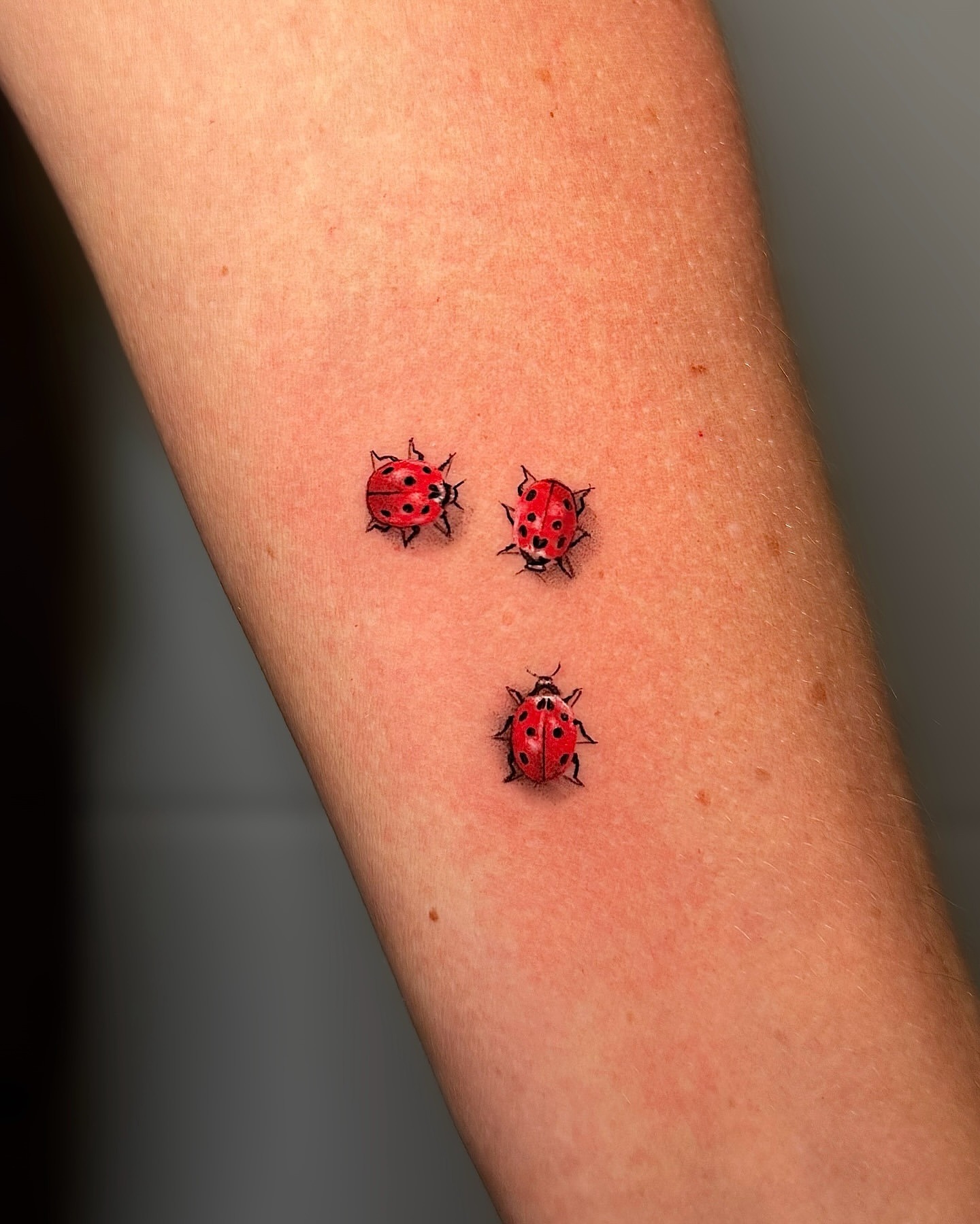 Three Ladybugs Tattoo Tattoo Design