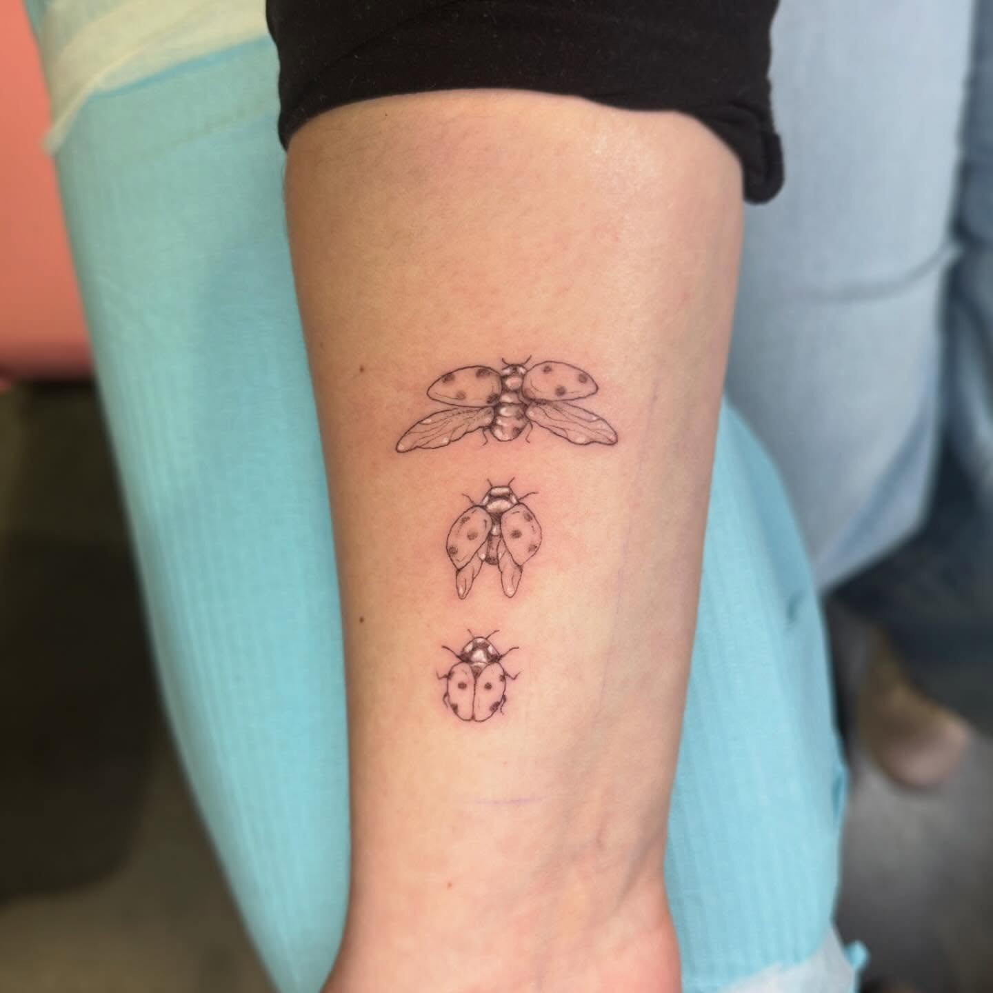 Three-Stage Ladybug Transformation Tattoo Tattoo Design