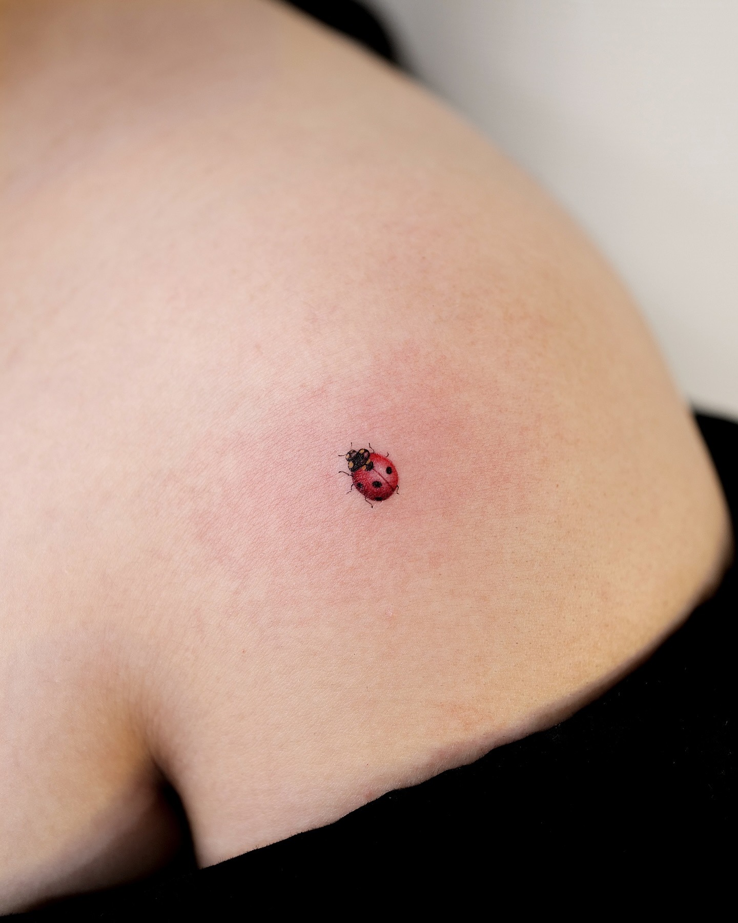 Tiny Realistic Shoulder Ladybug Tattoo Tattoo Design