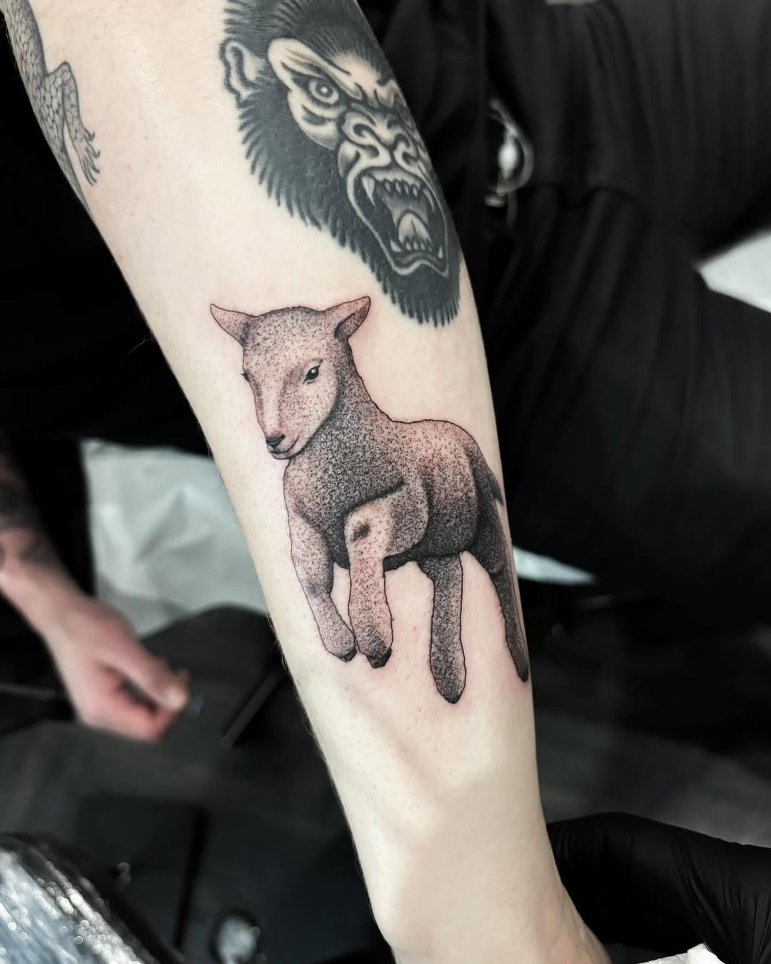 Charming lamb tattoo brings playful vibes Tattoo Design