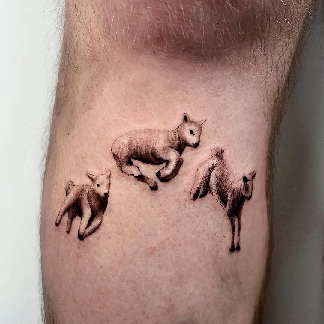 Charming lamb tattoos in playful poses Tattoo Design