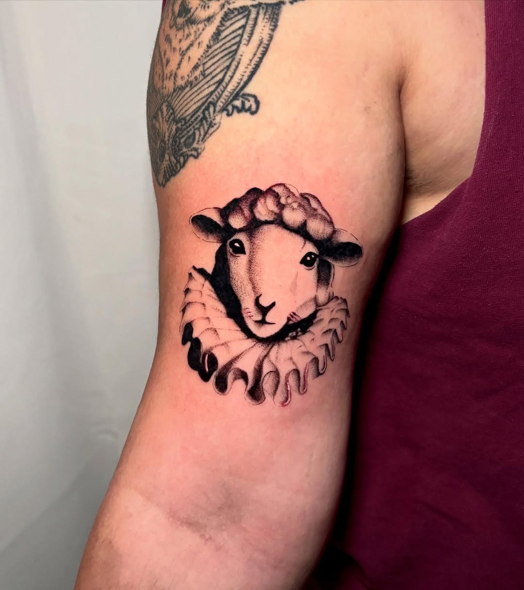 Realistic lamb tattoo with ruff collar design Tattoo Design