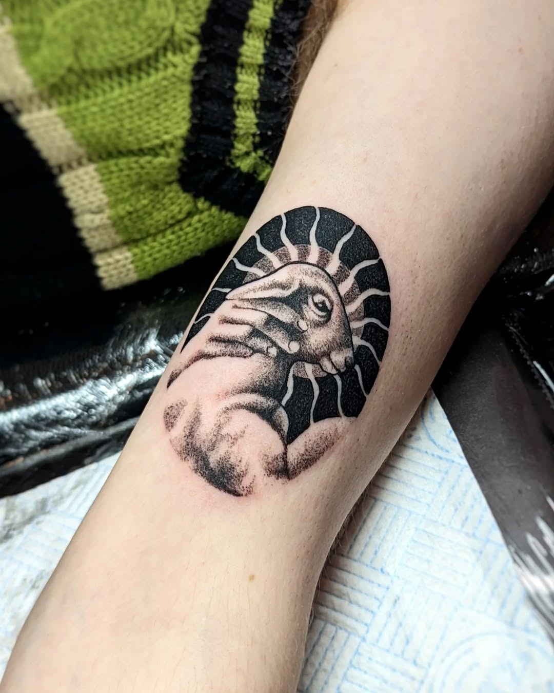 Unique lamb tattoo with striking sunburst effect Tattoo Design