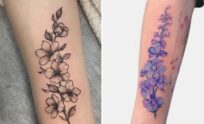 33+ Larkspur Tattoo Ideas & Inspiration