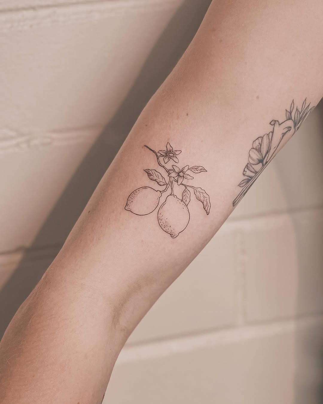 Charming minimalist lemon tattoo design on arm Tattoo Design