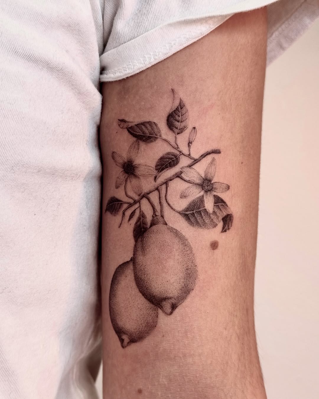 Elegant black and gray lemon tattoo design Tattoo Design