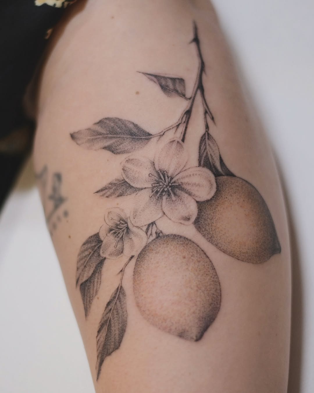 Realistic lemon and flower tattoo design inspiration Tattoo Design