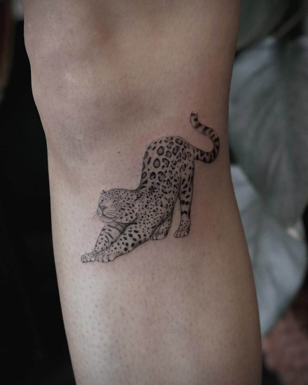 Intricate leopard tattoo in a stretching pose Tattoo Design