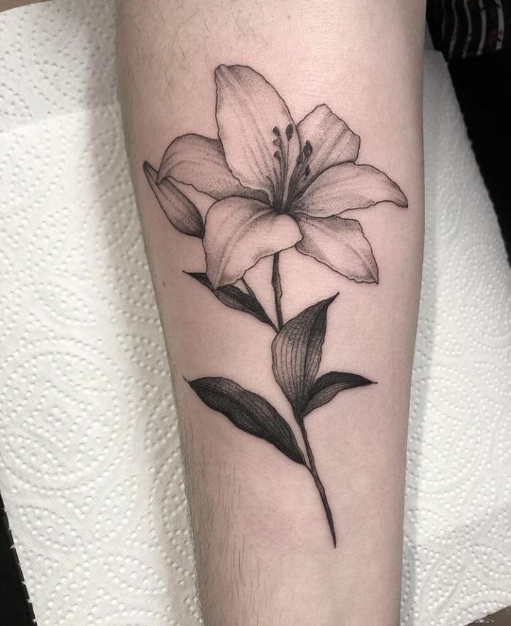 Single Stem Lily Bloom Tattoo, a tattoo design rendered in clean detailed linework.
