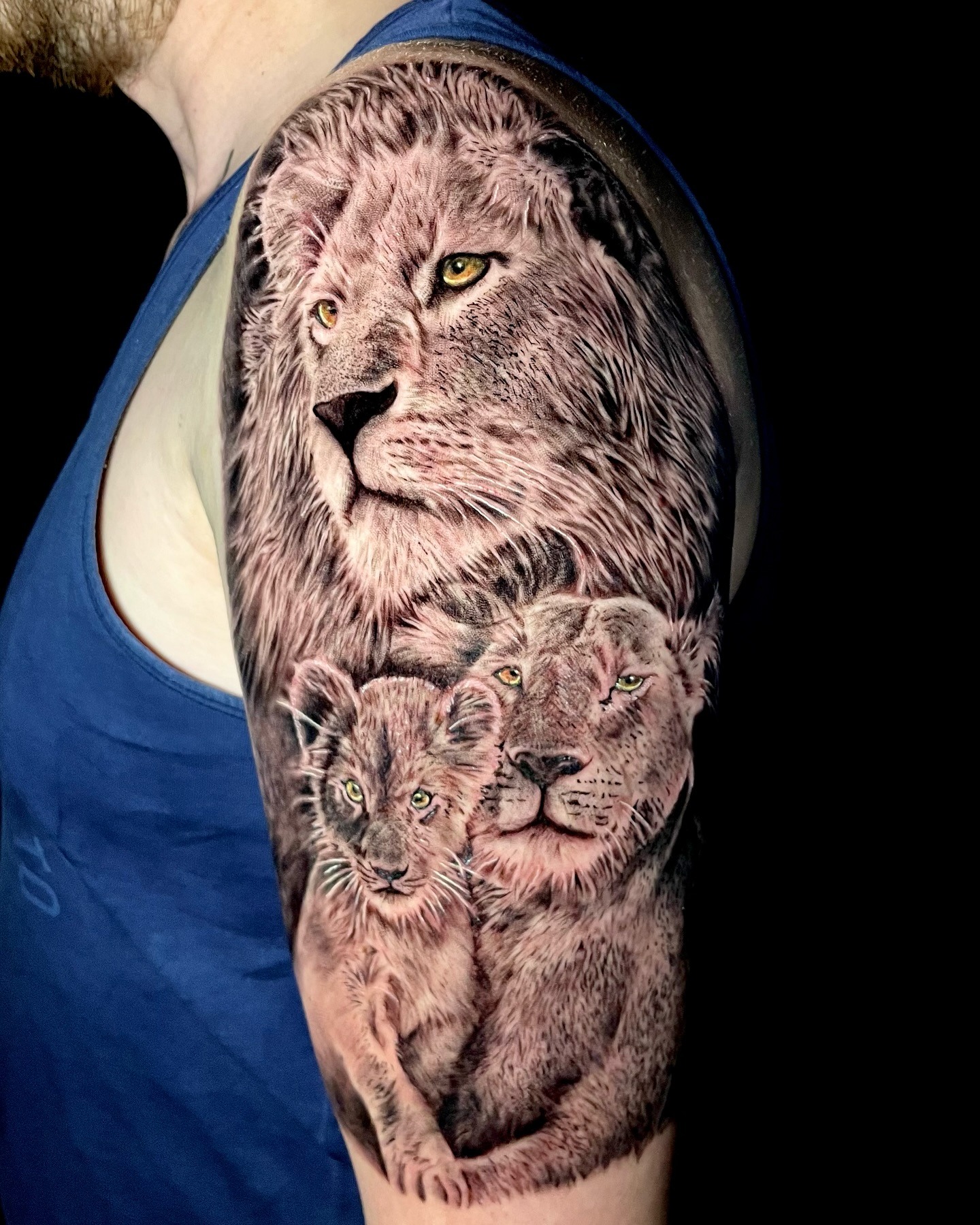 Lion Family Strength Tattoo Tattoo Design