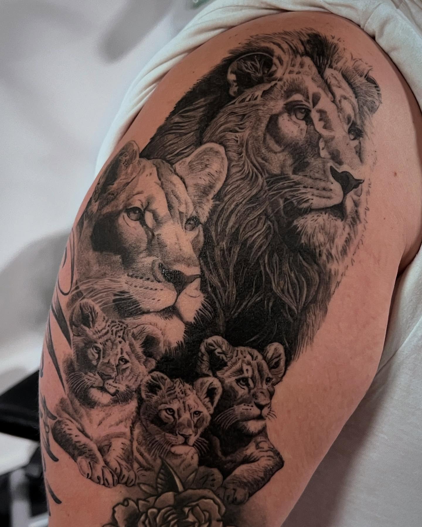 Lion Family With Three Cubs Tattoo Tattoo Design