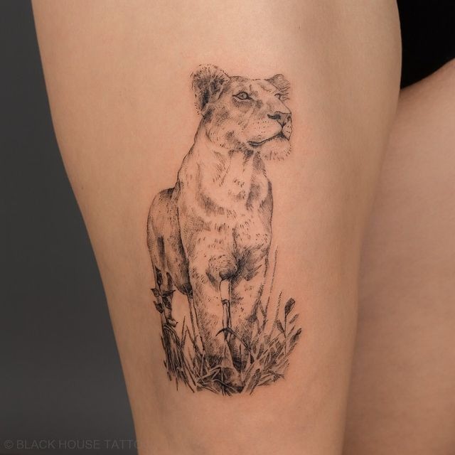 Field Watcher Lioness Thigh Sketch Tattoo Design