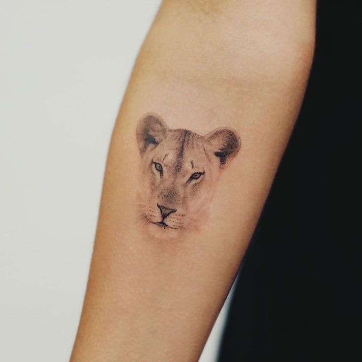 Soft-Gaze Micro Lioness on Inner Forearm Tattoo Design