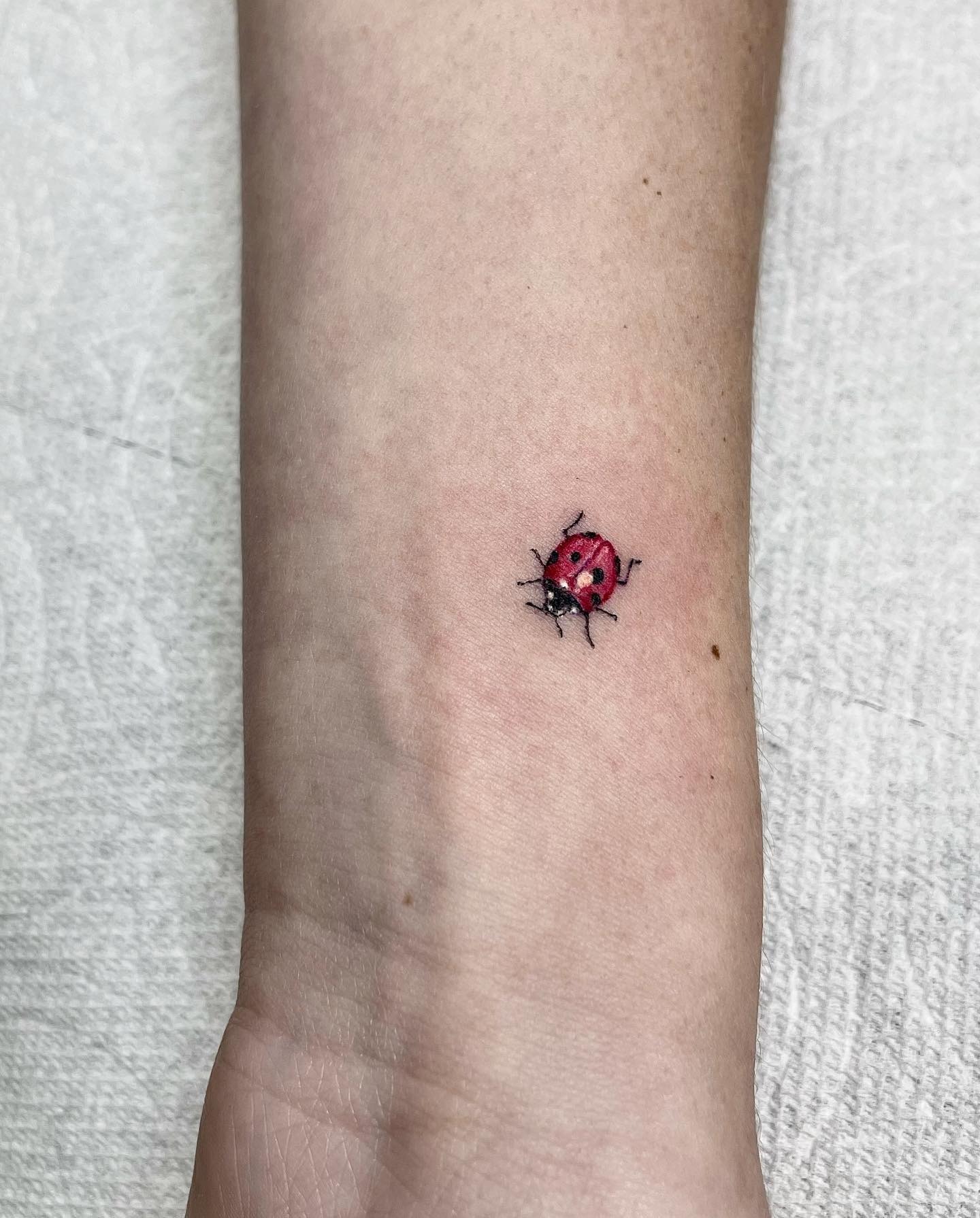 Tiny Ladybug Tattoo Tattoo Design