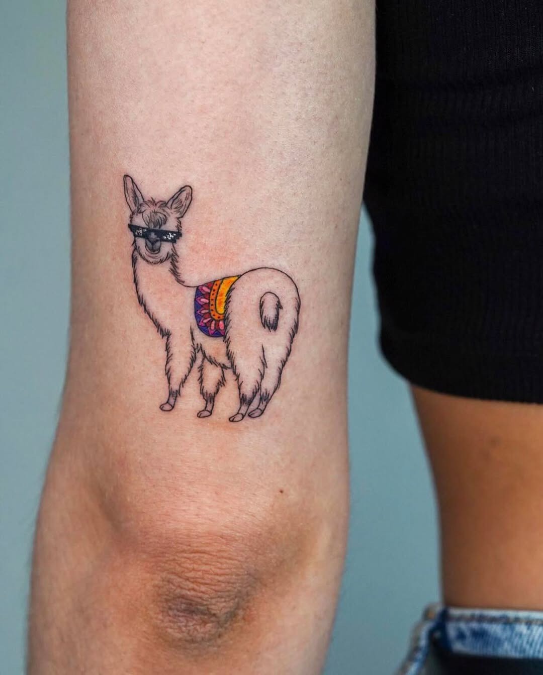 Charming llama tattoo with a colorful blanket Tattoo Design