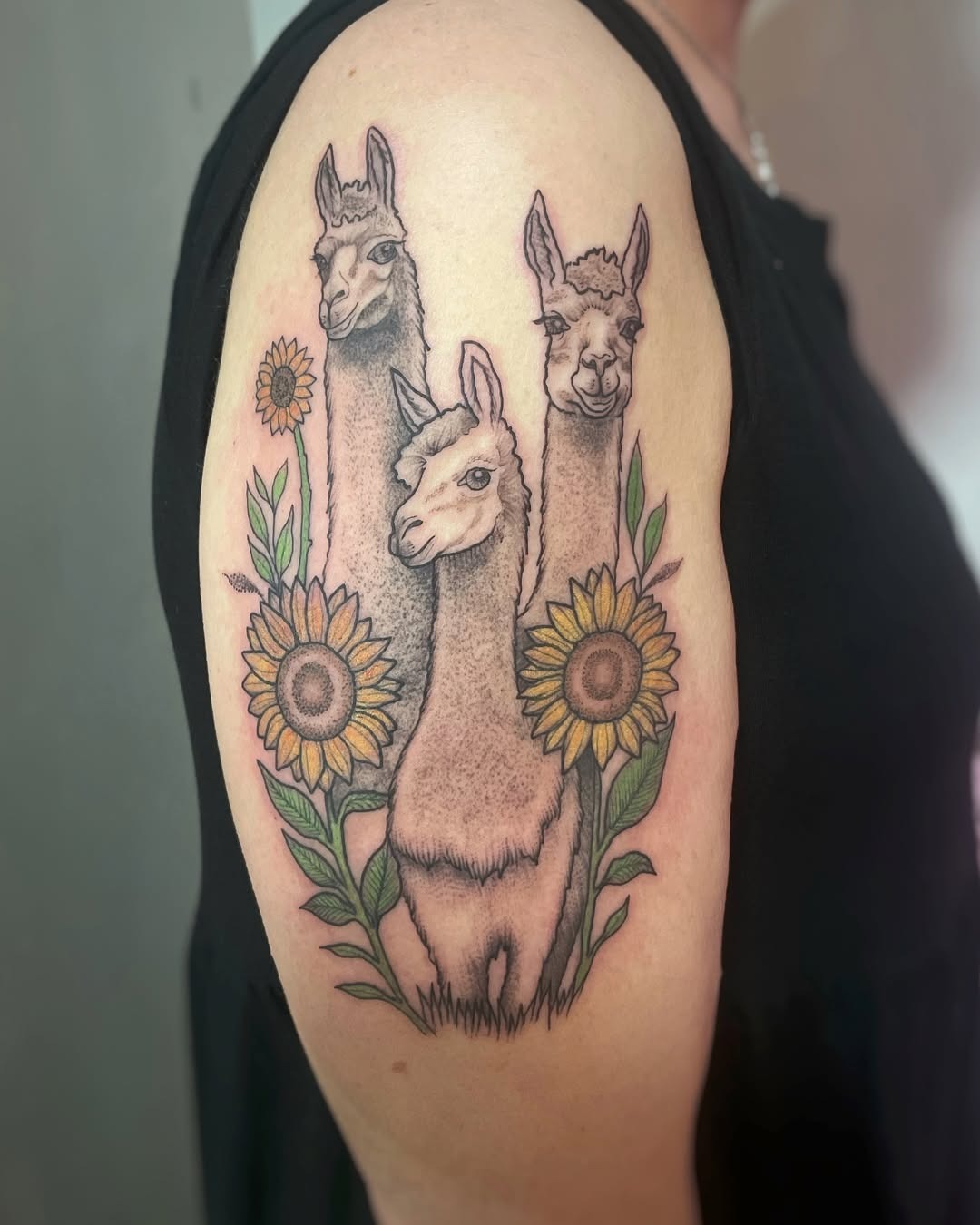 Charming trio of llamas with sunflowers Tattoo Design