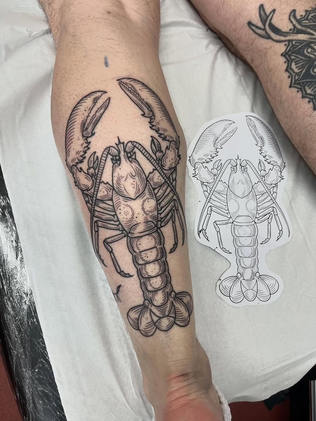 Bold lobster tattoo design on forearm Tattoo Design