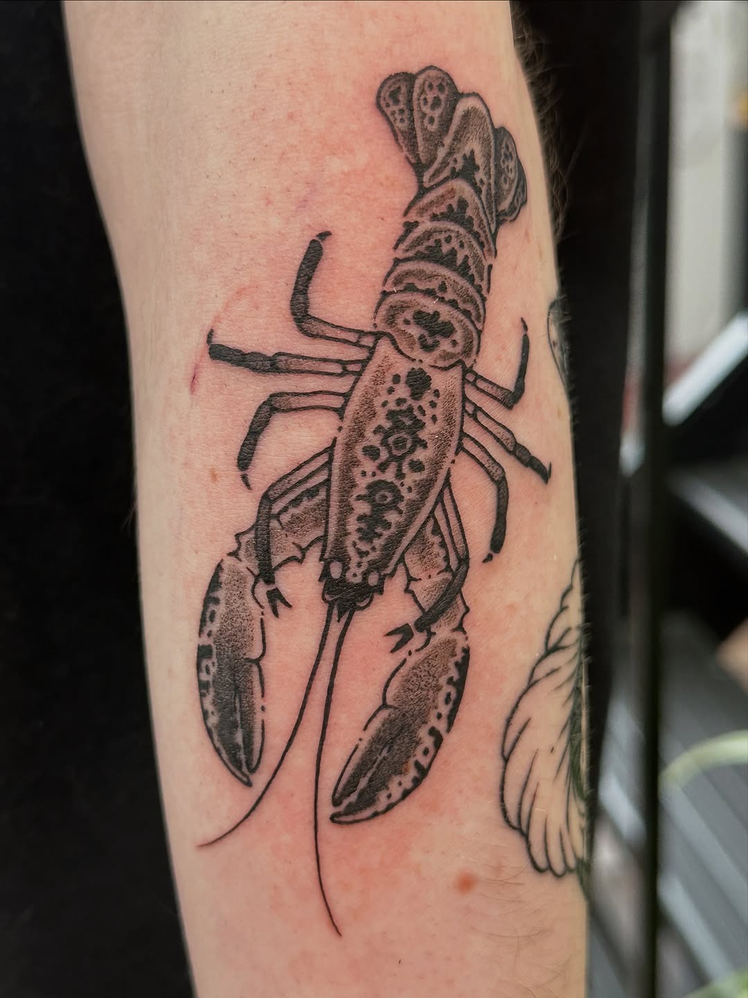 Detailed Lobster Tattoo Showcasing Realistic Artistry Tattoo Design