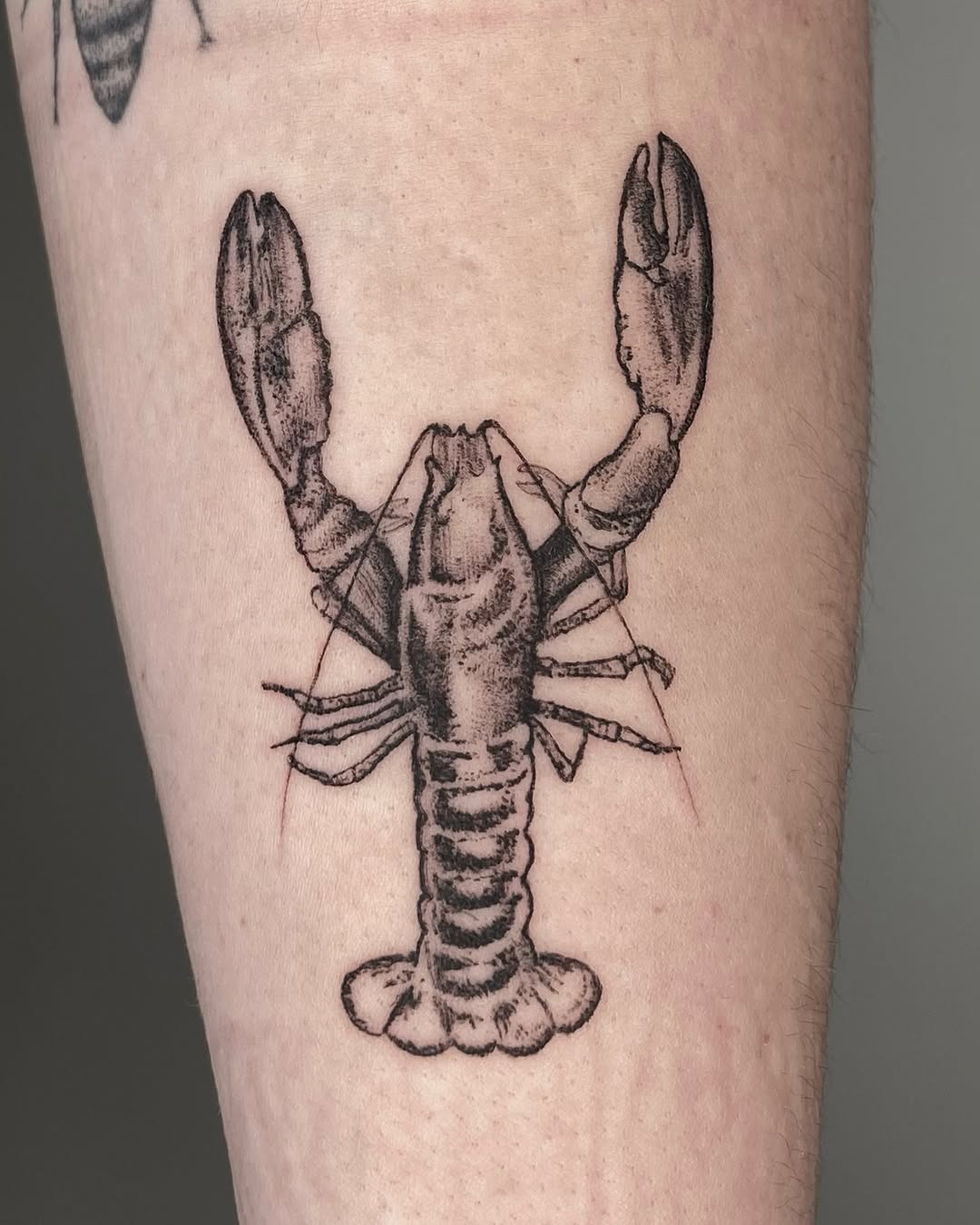 Intricate lobster tattoo in classic black ink. Tattoo Design