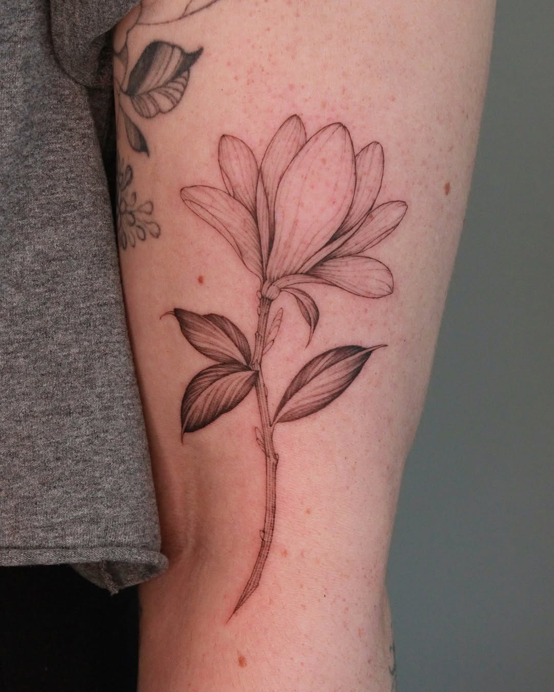 Elegant magnolia tattoo showcasing natural beauty Tattoo Design